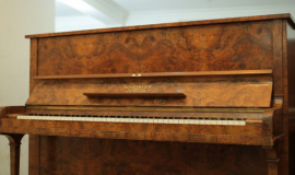 Địa chỉ bán đàn Piano Châu Âu uy tín, chất lượng, giá rẻ