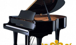 Mua đàn Piano: chọn đàn cơ hay đàn điện tử