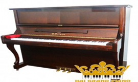 Piano Wilson A6 sự lựa chọn hoàn hảo cho người đam mê Piano