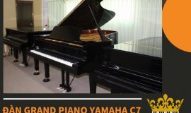 TÌM HIỂU CÔNG NGHỆ SẢN XUẤT ĐÀN GRAND PIANO YAMAHA C7