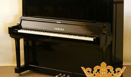 NGƯỜI MỚI HỌC PIANO THÌ NÊN MUA LOẠI ĐÀN PIANO NÀO 