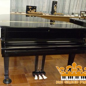 Grand Piano Yamaha C3B